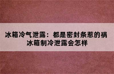 冰箱冷气泄露：都是密封条惹的祸 冰箱制冷泄露会怎样